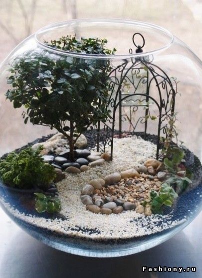 terrarium aquarium - King Matériaux