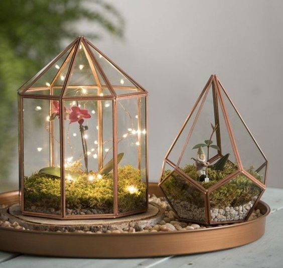 terrarium deco - King Matériaux