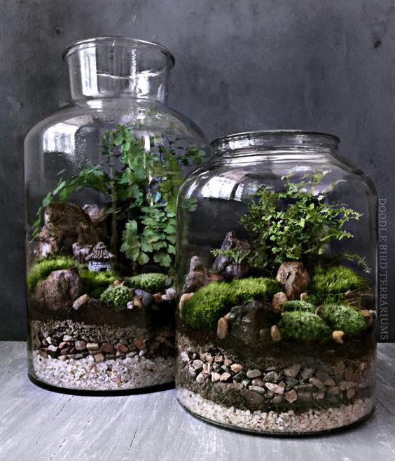 terrarium diy - King Matériaux