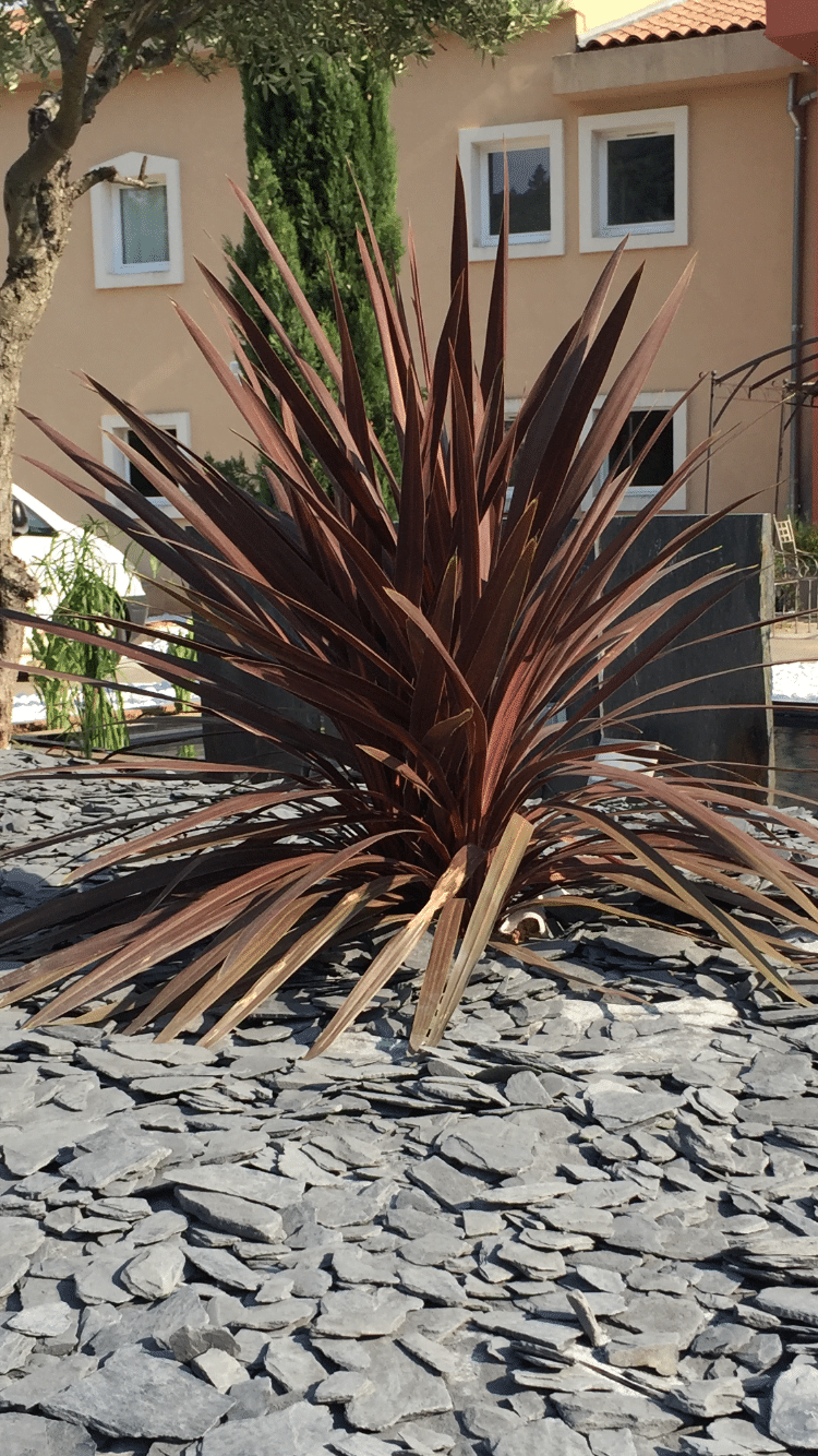 paillettes d'ardoise à Manosque