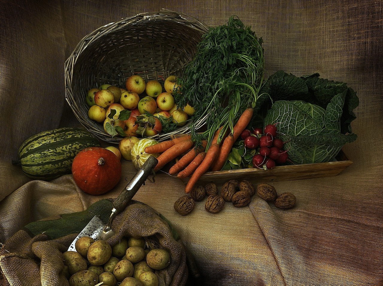 legumes hiver - King Matériaux