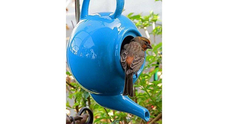 mangeoire oiseaux 06 - King Matériaux