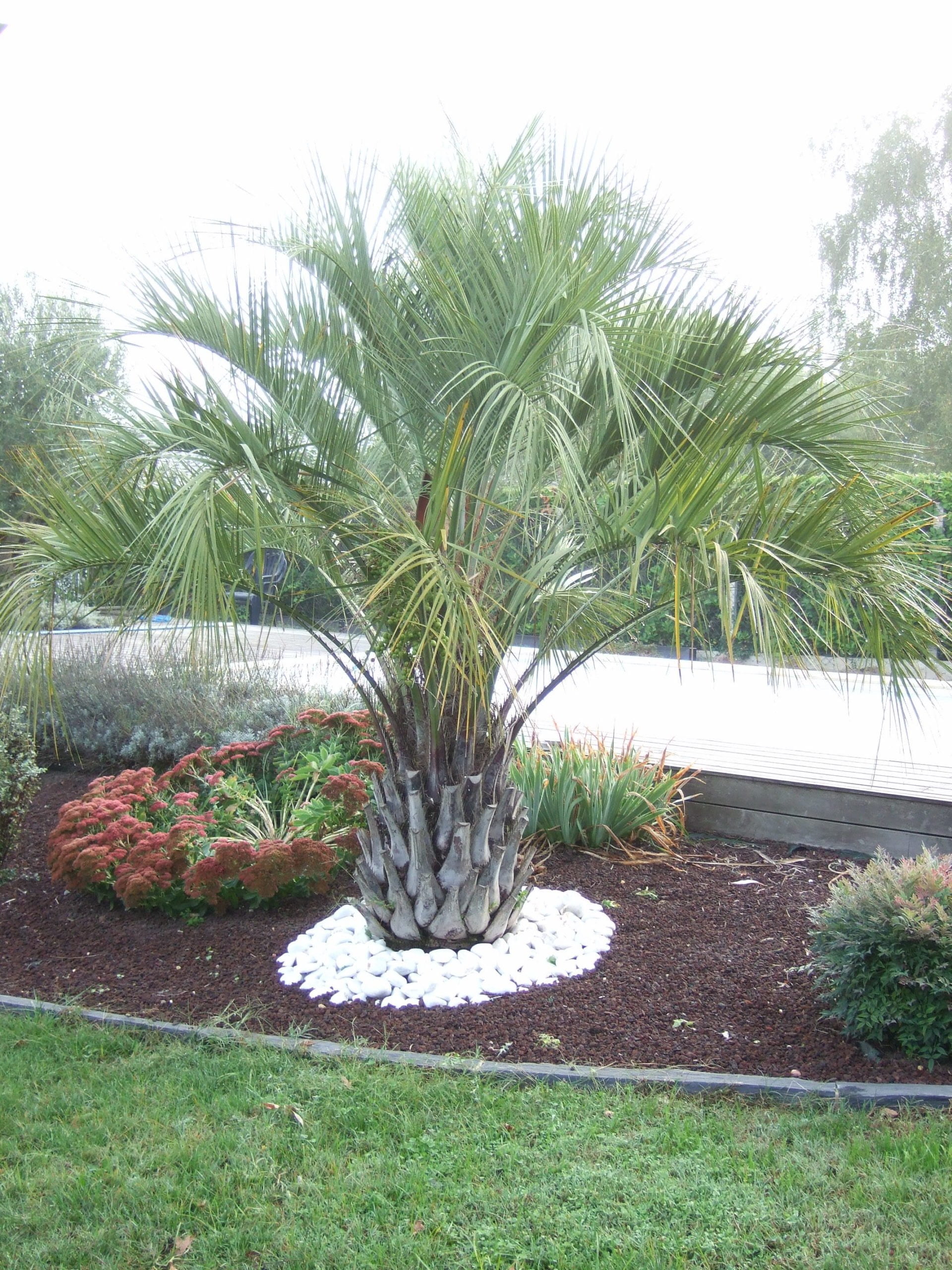 galet de marbre blanc en vrac à Arles