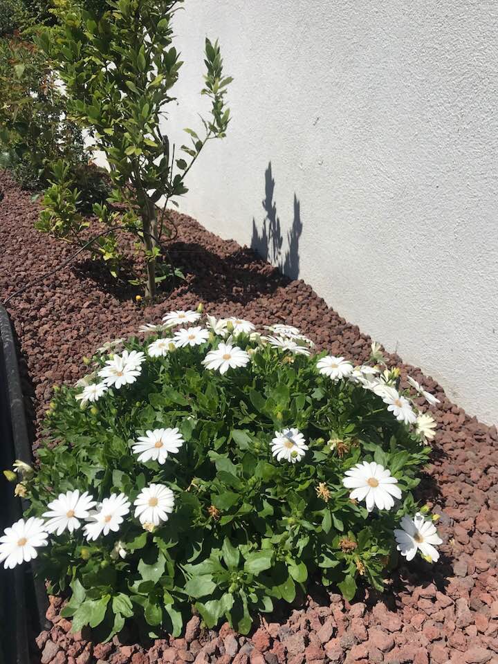 La pouzzolane au Paradou