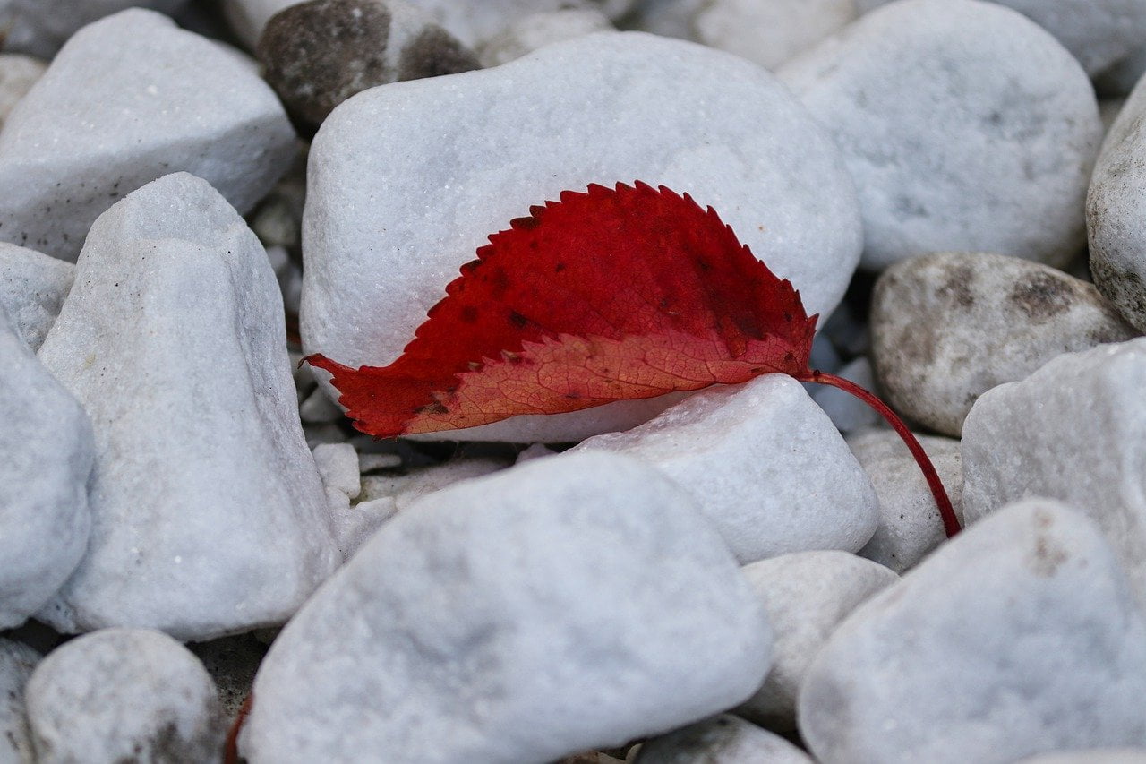 Le galet de marbre blanc à La Destrousse