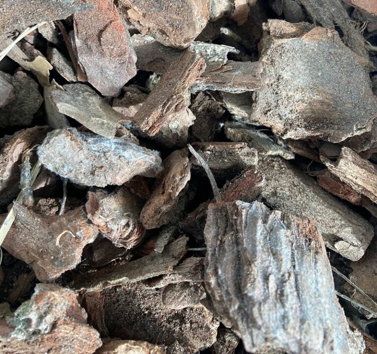 Écorce de pin- Big Bag 200KG – Image 2