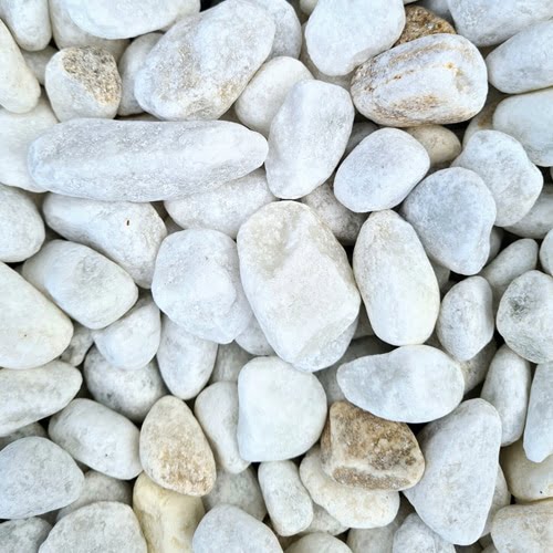 galet blanc roule 12 25 mm