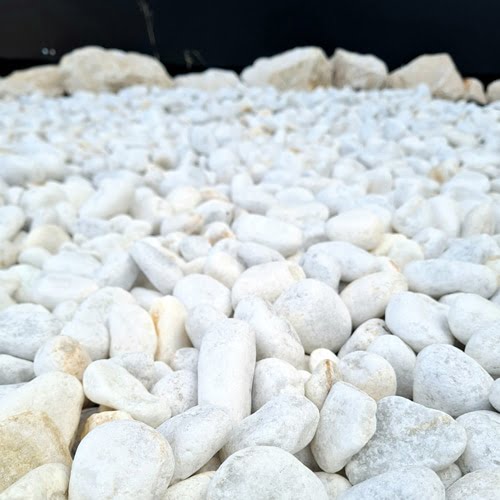 galet marbre blanc roule 12 25 mm