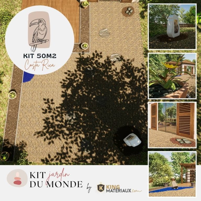 kit amenagement jardin tropical