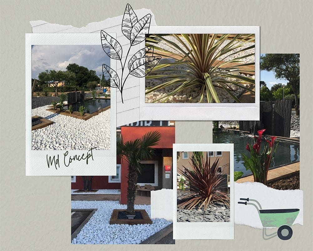 réalisation client md concept