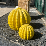 Statue cactus