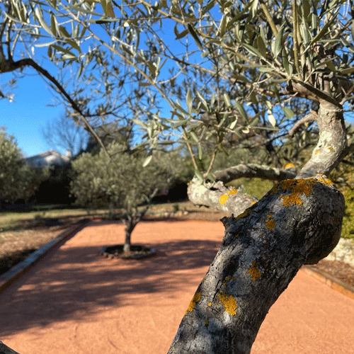 boulodrome maison opti - King Matériaux