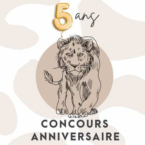 CONCOURS 5 ANS KING MATERIAUX