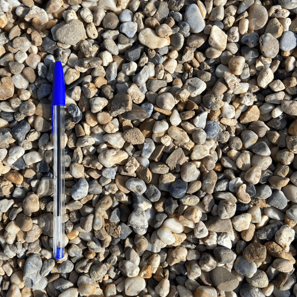 Galet Champagne 6/10