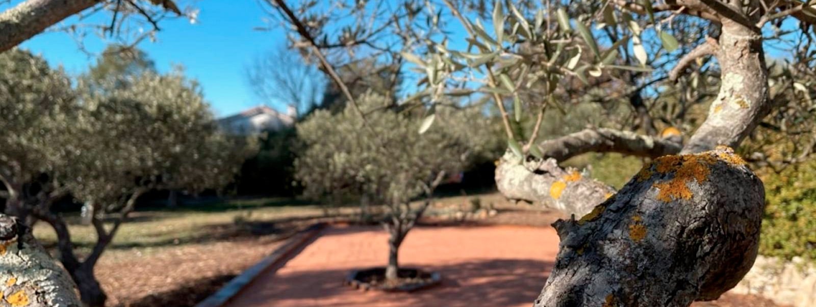 background blog - King Matériaux