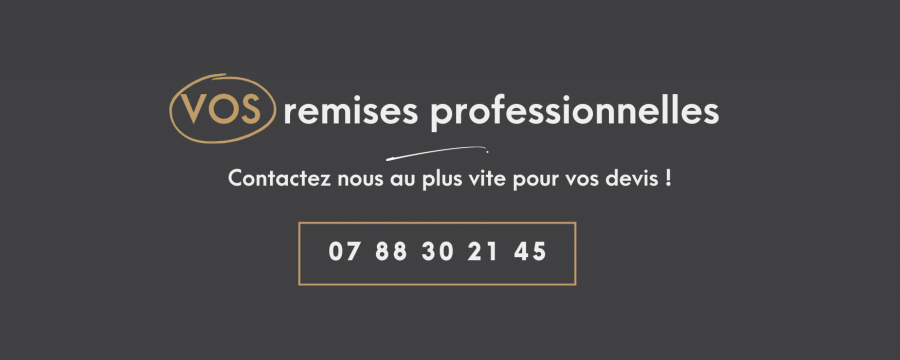 remise-pro (1)